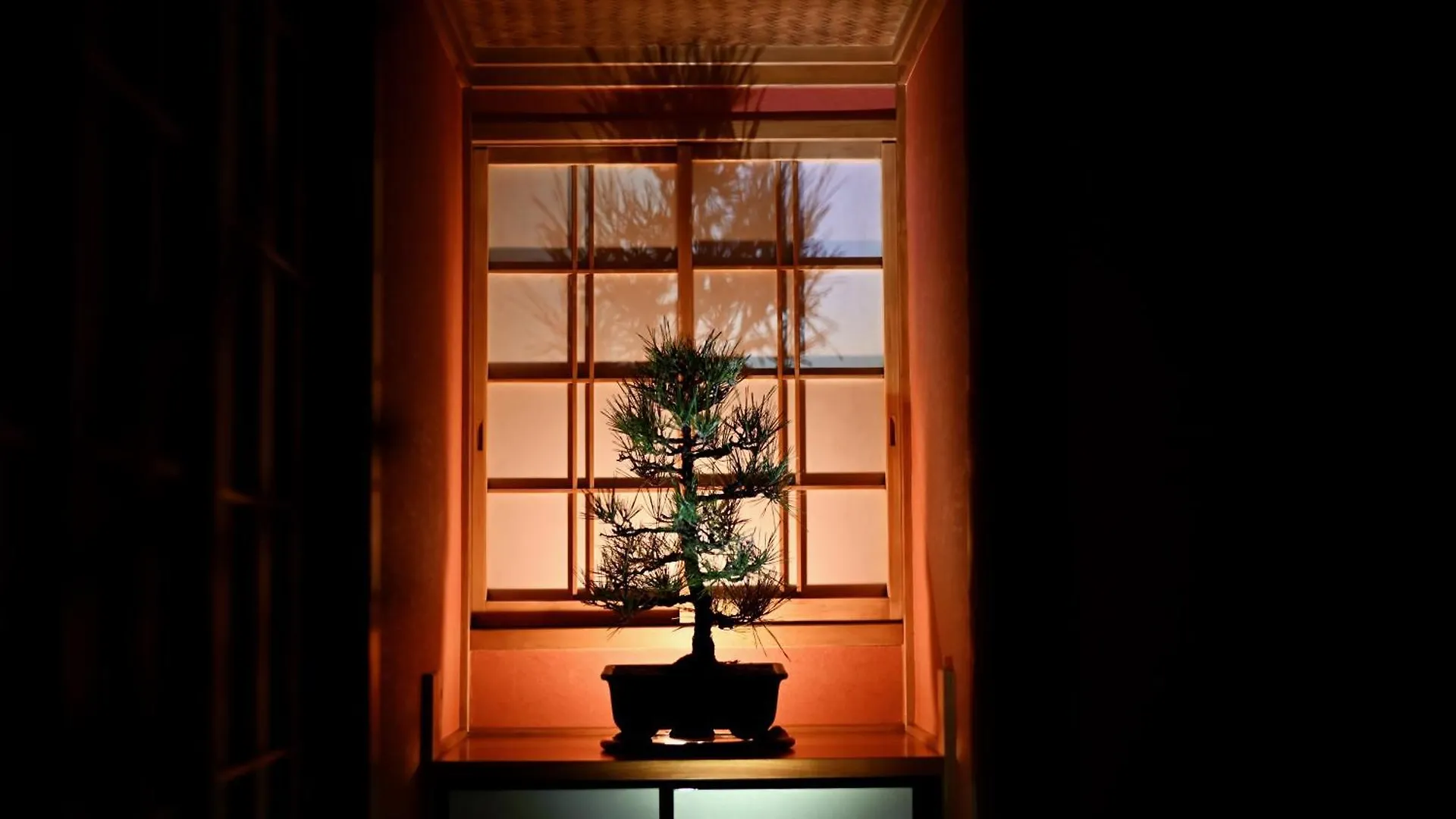 Ichinagi Yanaka Villa Tokyo