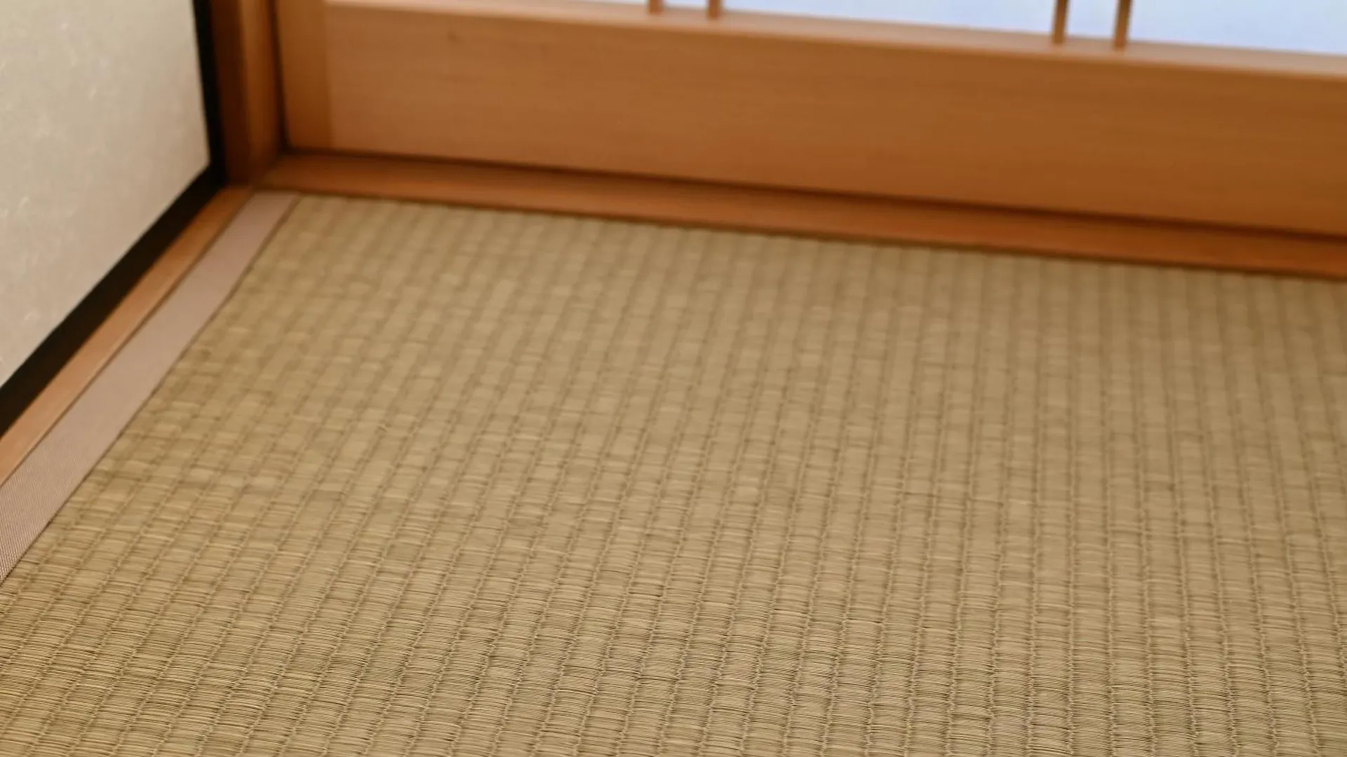 Ichinagi Yanaka Villa Tokyo