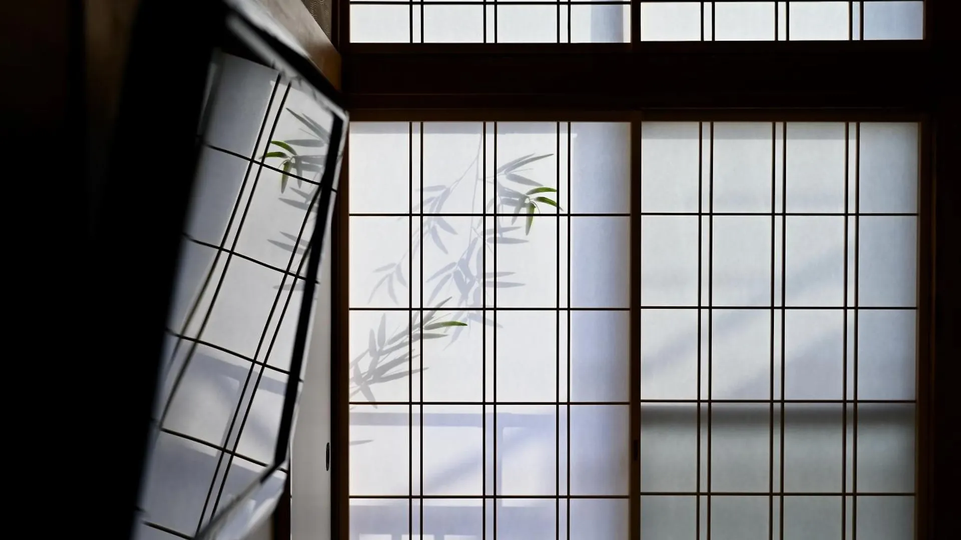 Ichinagi Yanaka Villa Tokyo